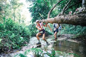 BIB: 
                            <button type="button" onclick="openModal(25435064)" class="btn btn-primary btn-sm float-right btn-popup" data-toggle="modal" data-target=".modal-high-quality">
                        <i class="fas fa-shopping-cart"></i> Add to Cart
                    </button>
                                            <button type="button" onclick="isThisMe(25435064, true)" class="btn btn-success btn-sm float-right btn-popup btn-isme hidden" data-toggle="tooltip" data-placement="bottom" title="นี่คือรูปของคุณใช่ไหม คลิกที่นี่เพื่อเอาเข้าอัลบั้ม">
                        <i class="fas fa-plus"></i> Add to album
                    </button>
                    <button type="button" onclick="isThisMe(25435064, false)" class="btn btn-warning btn-sm float-right btn-popup btn-isnotme hidden">
                        <i class="fas fa-ban"></i> Remove from album
                    </button>